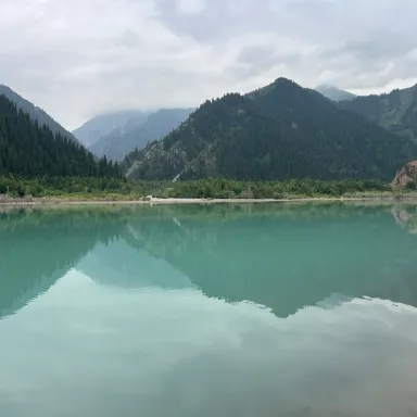 Аниям Ю.
